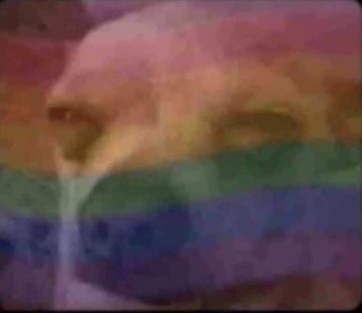 Men with the "English dictionary" App in their phones😂