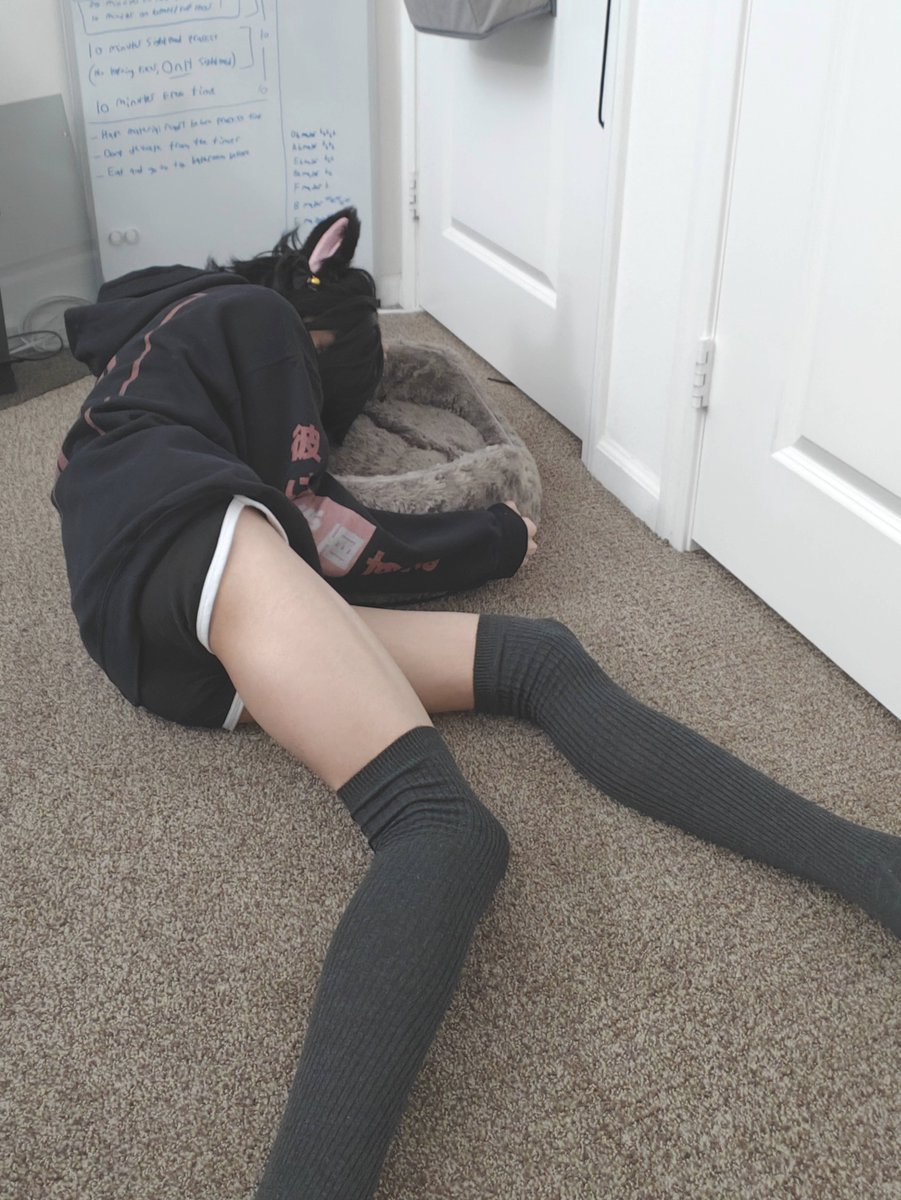 ferutaydesu's tweet photo. this catboy does NOT fit inside his new bed.... https://t.co/sBcXYIb906