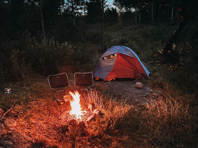 Liv 🌲 tweet media