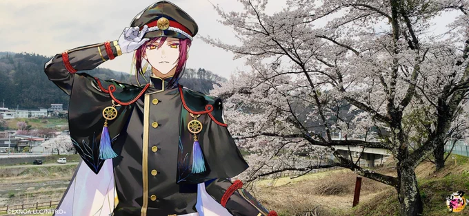 面影さんを桜で歓迎したかったので山を登ってきた^^間に合ってよかったw