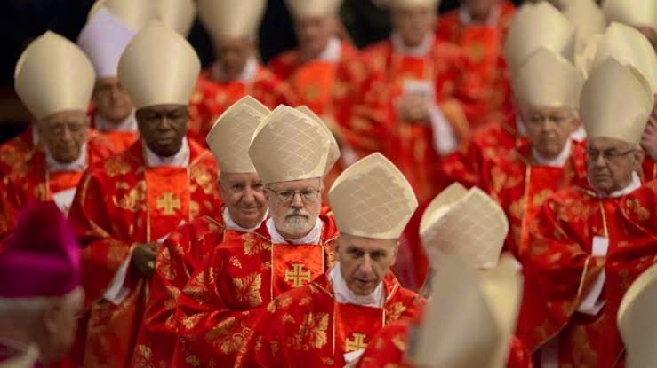 idrissbertrand1's tweet photo. #TRHEAD: VOUS VOUS DEMANDEZ DÉJÀ QUI SERA LE PROCHAIN PAPE ?
VOICI COMMENT L’ÉGLISE CATHOLIQUE DÉSIGNE CELUI QUI PORTERA LA TUNIQUE BLANCHE.
TOUT CE QUE VOUS DEVEZ ABSOLUMENT SAVOIR SUR LES CONCLAVES PAPALS. 👇⬇️➡️ https://t.co/P5sfOIoVMm