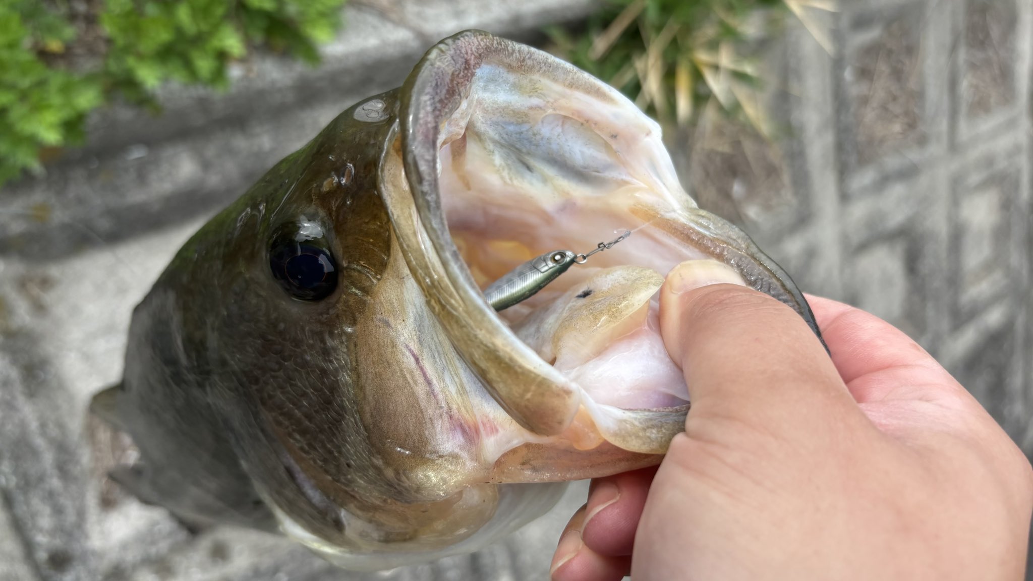 Nishine Lure Works (@Beatour27) / X