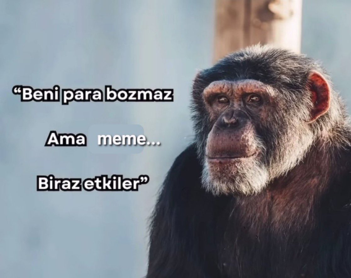 Baltacı Mehmed (@KaterinaFatihi) on X