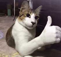 totallykathool's tweet photo. @marshmello try turning it on and then back on https://t.co/0A3ykEABSm