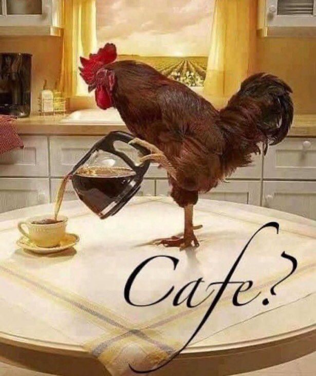 una ia jamás podría recrear fotos como estas