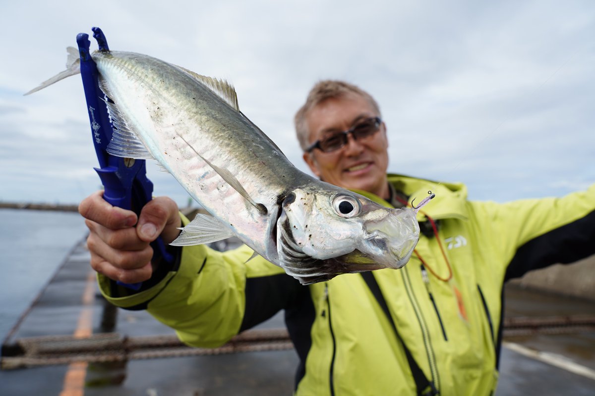 村上晴彦 - Search / X