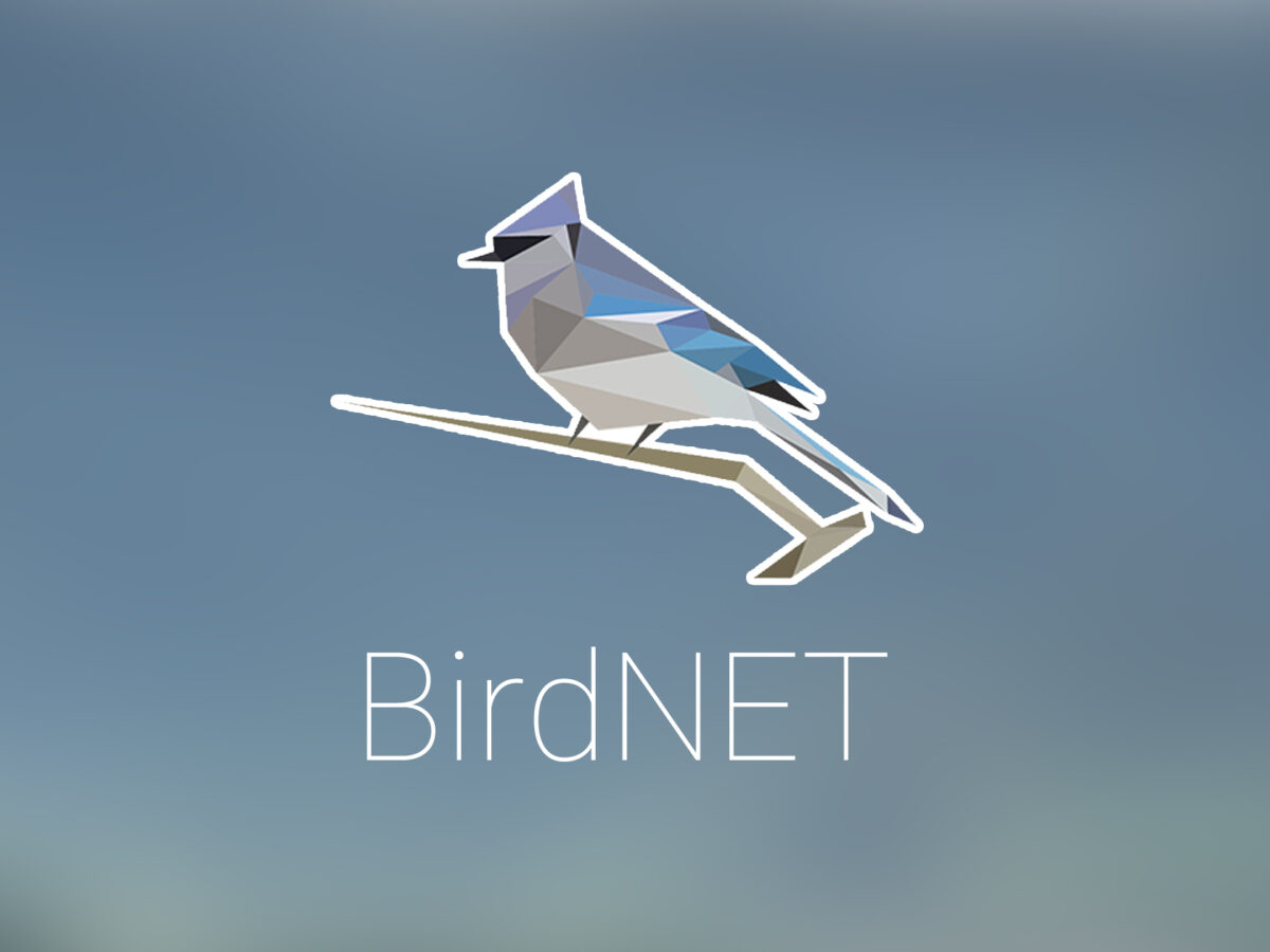 ArdeolaJournal's tweet image. 📡El investigador del @ctforestal Cristian Pérez-Granados publica un forum donde concluye que las puntuaciones de confianza de las grabaciones de cantos de #aves realizados con #BirdNET decrecen con la distancia del ave al grabador 👇
ℹ️bioone.org/journals/ardeo… #ornitología