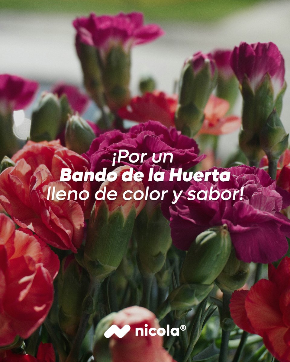 Hoy Murcia se viste de tradición, colores y mucho sabor. En Conservas Nicola, como buenos amantes de nuestra tierra, celebramos con orgullo esta fiesta tan especial, donde la Huerta de Murcia es la gran protagonista. 🥕🍆🍅

¡Feliz Bando de la Huerta!