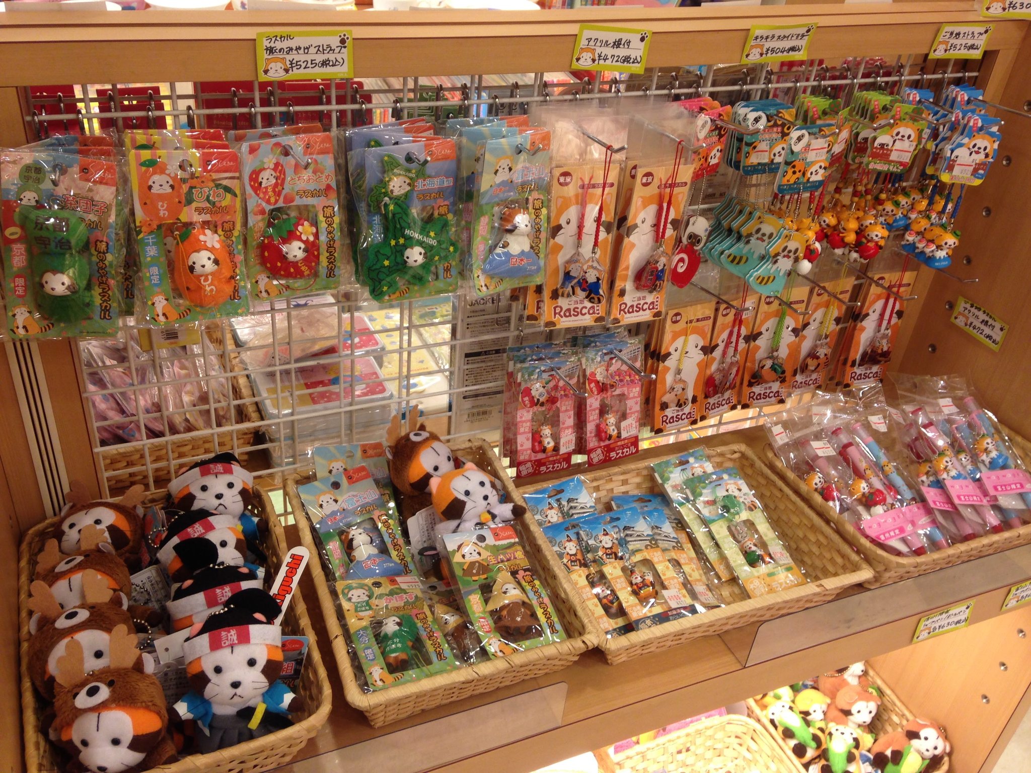 ミニ錦鯉】2025/04/19 お買い上げありがとうございます!!＃京阪