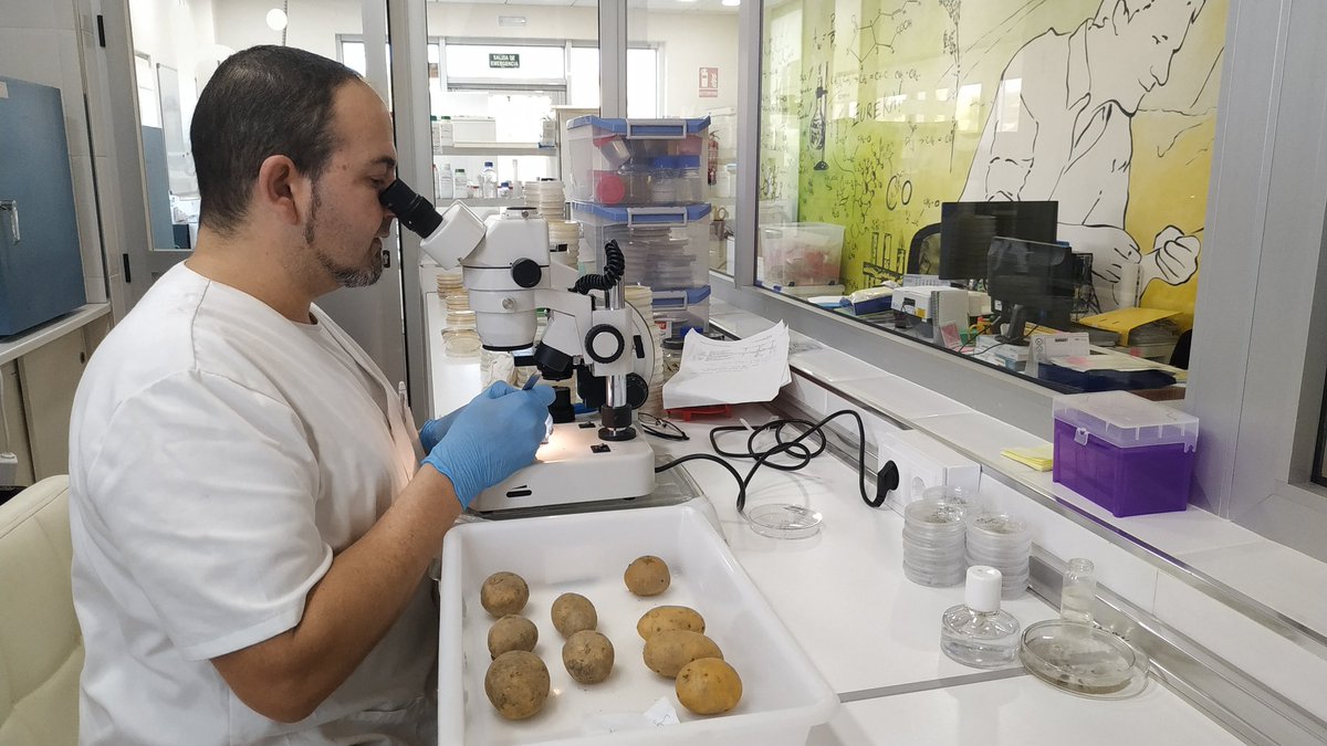👥🔬 En #IDEAGRO realizamos #ensayos en una amplia gama de condiciones de cultivo, como in-vitro, microcosmos, invernadero o aire libre, con soluciones adaptadas a cada necesidad.

Expertos en investigación #agroalimentaria ➡️ ideagro.es/investigacion-…