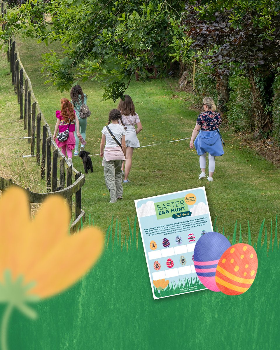 Have you completed our Easter Egg Hunt yet? 🐣🔍 We're open every day until Monday 28 April, 9am to 4pm! Pick up your trail sheet for €5 from our visitor centre. No pre-booking required. All funds raised goes towards helping donkeys in Ireland! Can't wait to see you there! 👋