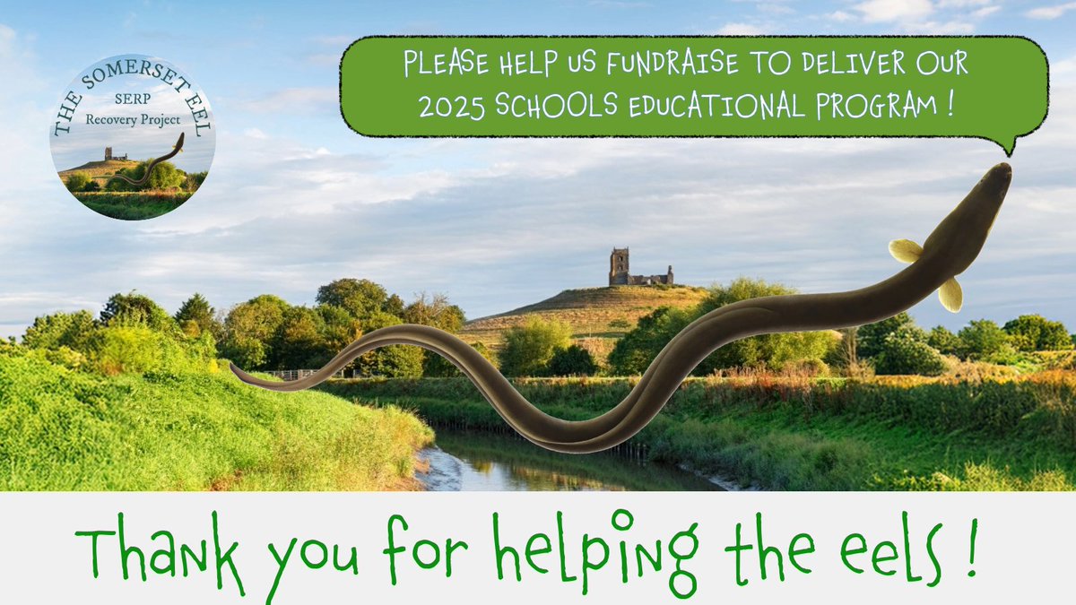 The_peoples_eel's tweet image. Launching SOON!
Our very own crowdfunder - helping us to deliver our Eels in the Classroom program..!