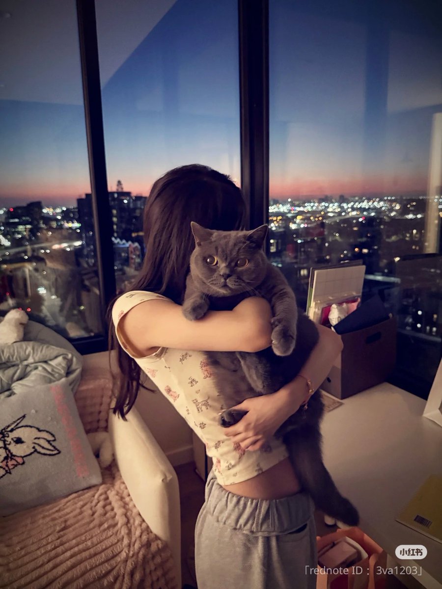 【受け入れて前に進もう】
ダメな自分／弱い自分／嫌いな自分／情けない自分
否定しても人生は変わらない。
見て見ぬふりをしてもふとした時に思い出して苦しみは続くから。いい加減受け入れてこれも私だと認めてあげよう。否定や誰かと比べて傷つかなくていい。自分の価値を下げなくてもいいんだよ🍀