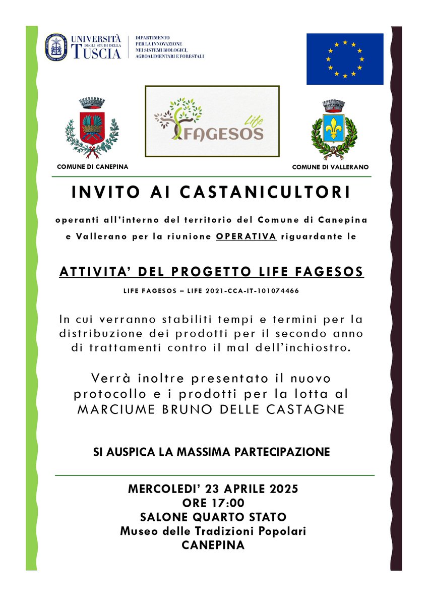 🌰 Join us in Canepina!
📅 Apr 23, 5 PM
📍 Salone Quarto Stato
Meet the #LIFEFagesos team to plan year 2 treatments vs. ink disease &amp; discover the new protocol vs. brown rot!
🌳 Chestnut growers, your presence matters!
#SustainableFarming #EUProjects #LIFEAmplifiers #LIFEFagesos