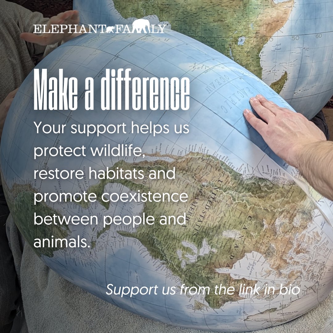 Elephant Family (@elephantfamily) on Twitter photo This #EarthDay, we’re protecting the incredible wildlife that call Earth home through the Big Egg Hunt. The Globemakers Egg and other sculptures are up for auction! Bid to support our work and own a piece of art that protects life Earth <a href="/globemakers/">Bellerby & Co Globemakers</a>
uk.emma-live.com/TheBigEggHunt/… This #EarthDay, we’re protecting the incredible wildlife that call Earth home through the Big Egg Hunt. The Globemakers Egg and other sculptures are up for auction! Bid to support our work and own a piece of art that protects life Earth <a href="/globemakers/">Bellerby & Co Globemakers</a>
uk.emma-live.com/TheBigEggHunt/…