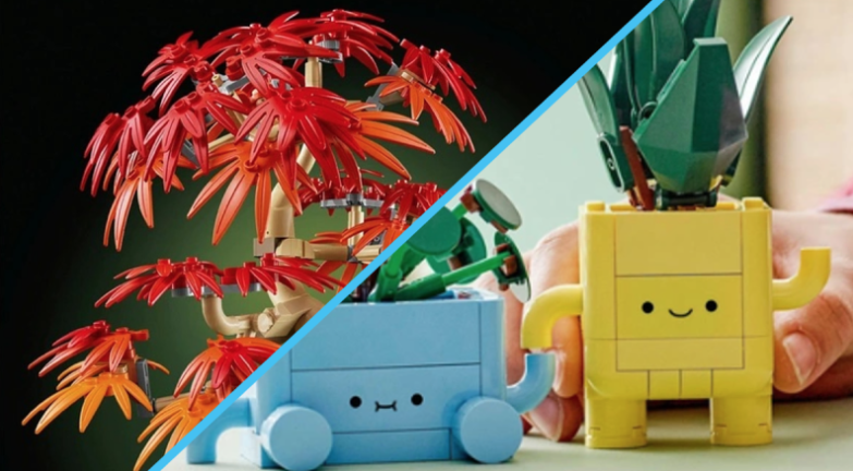 BrickFanatics's tweet photo. Two new upcoming LEGO Botanicals models have been revealed, with 10348 Japanese Maple Tree and 10349 Happy Plants launching this summer.

https://t.co/uWuhEolQc9

#LEGO #LEGOBotanicals #LEGOBotanicalCollection https://t.co/hzAd36tkNe