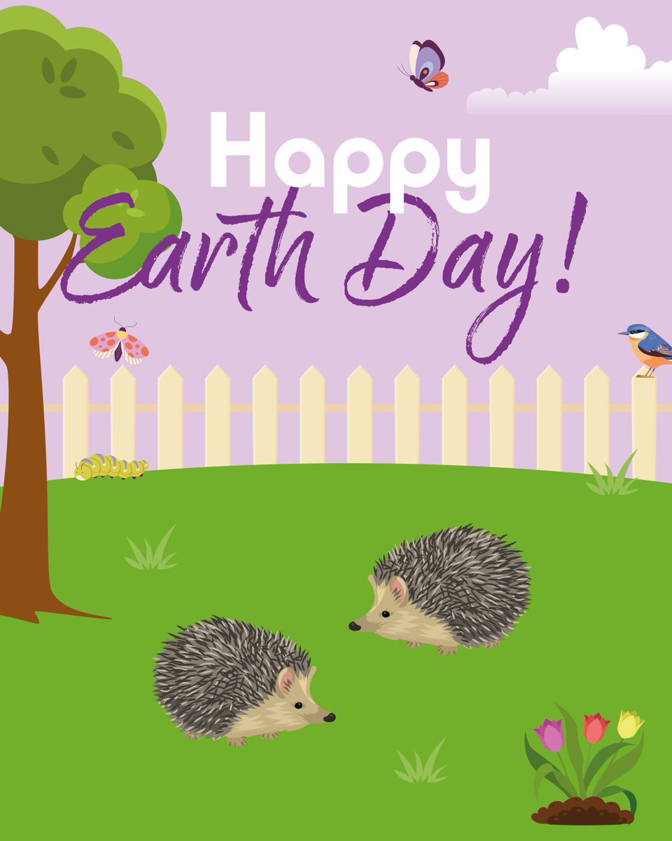 🌍🌿 Happy Earth Day! Let’s work together to protect and nurture our outdoor spaces, ensuring they thrive for both wildlife and ourselves. Every small action counts in preserving the beauty of our planet! 🌱💚

#happyearthday #spikes #earthday #spikeshedgehogfood