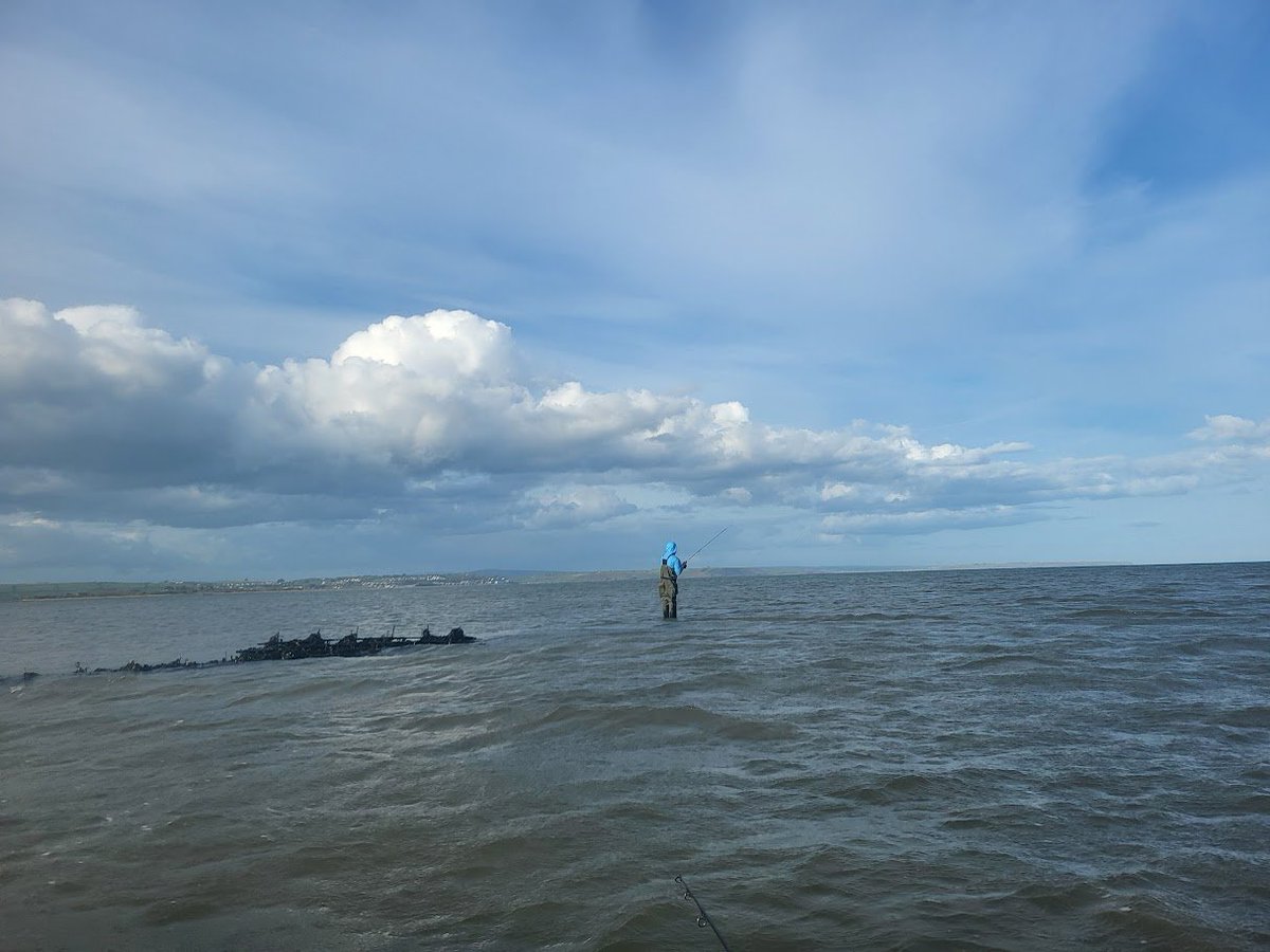 Fishing local Oyster bed for elusive bass - and they stayed elusive 😂 #fishinglife
