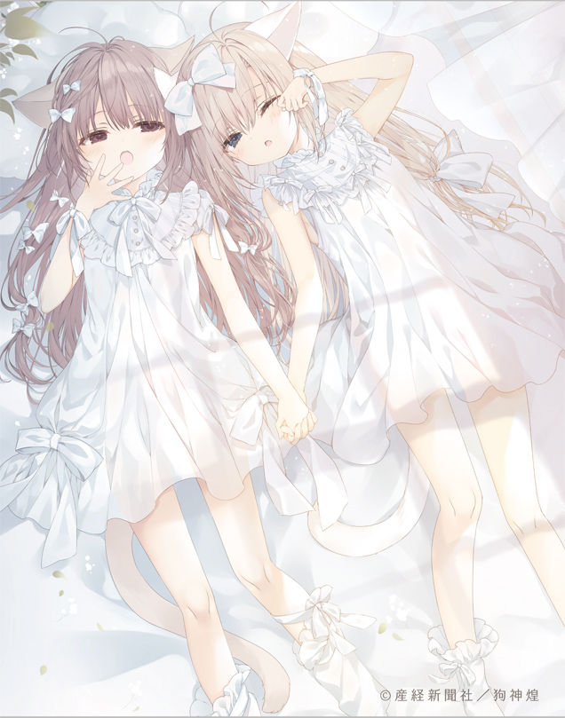 いぬきら(狗神煌) (@kilacco) / X いぬきら(狗神煌) (@kilacco) / X