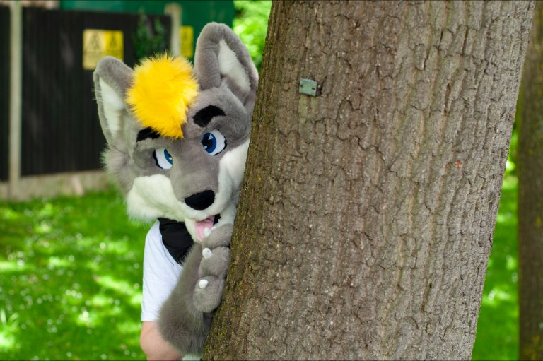 Lee Folf tweet media