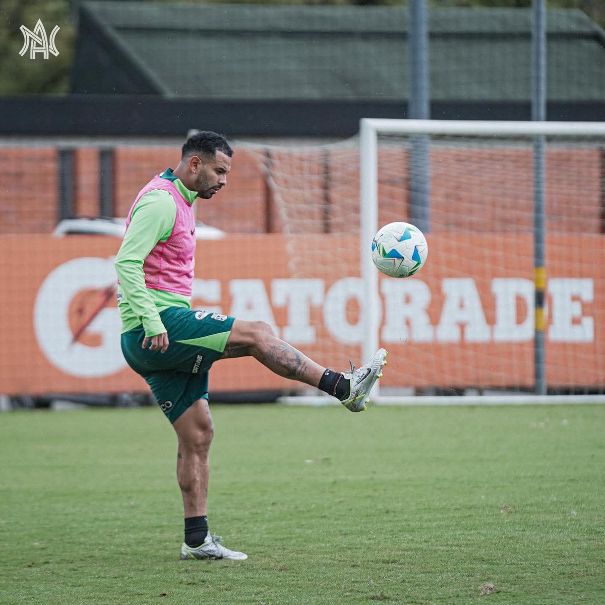 NOTICIAS DEL VERDE (@noticiasdeverde) on Twitter photo 🏋️🥵 Mañana de trabajo para Atlético Nacional, almuerzo y viaje a territorio brasileño, para terminar de ultimar los detalles de cara al compromiso del día jueves.
📸 <a href="/nacionaloficial/">Atlético Nacional</a> 🏋️🥵 Mañana de trabajo para Atlético Nacional, almuerzo y viaje a territorio brasileño, para terminar de ultimar los detalles de cara al compromiso del día jueves.
📸 <a href="/nacionaloficial/">Atlético Nacional</a>