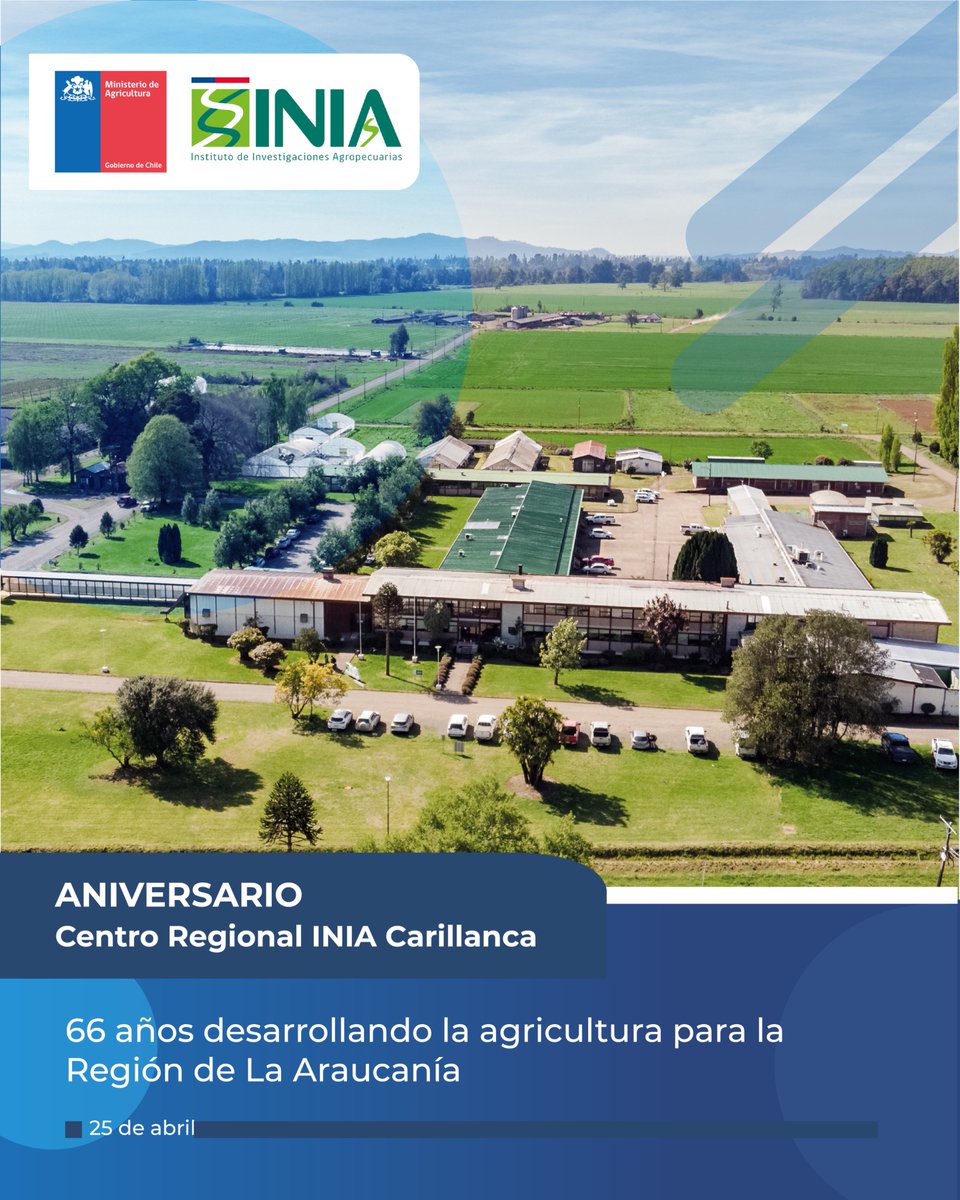 INIA Chile (@iniachile) on Twitter photo Saludamos a todo el equipo de <a href="/inia_carillanca/">iniacarillanca</a> en su aniversario Nº66, aportando al desarrollo agropecuario de la Región de La Araucanía, siendo uno de los centros regionales fundadores de #INIAChile 🌱
¡Muchas felicidades! Saludamos a todo el equipo de <a href="/inia_carillanca/">iniacarillanca</a> en su aniversario Nº66, aportando al desarrollo agropecuario de la Región de La Araucanía, siendo uno de los centros regionales fundadores de #INIAChile 🌱
¡Muchas felicidades!