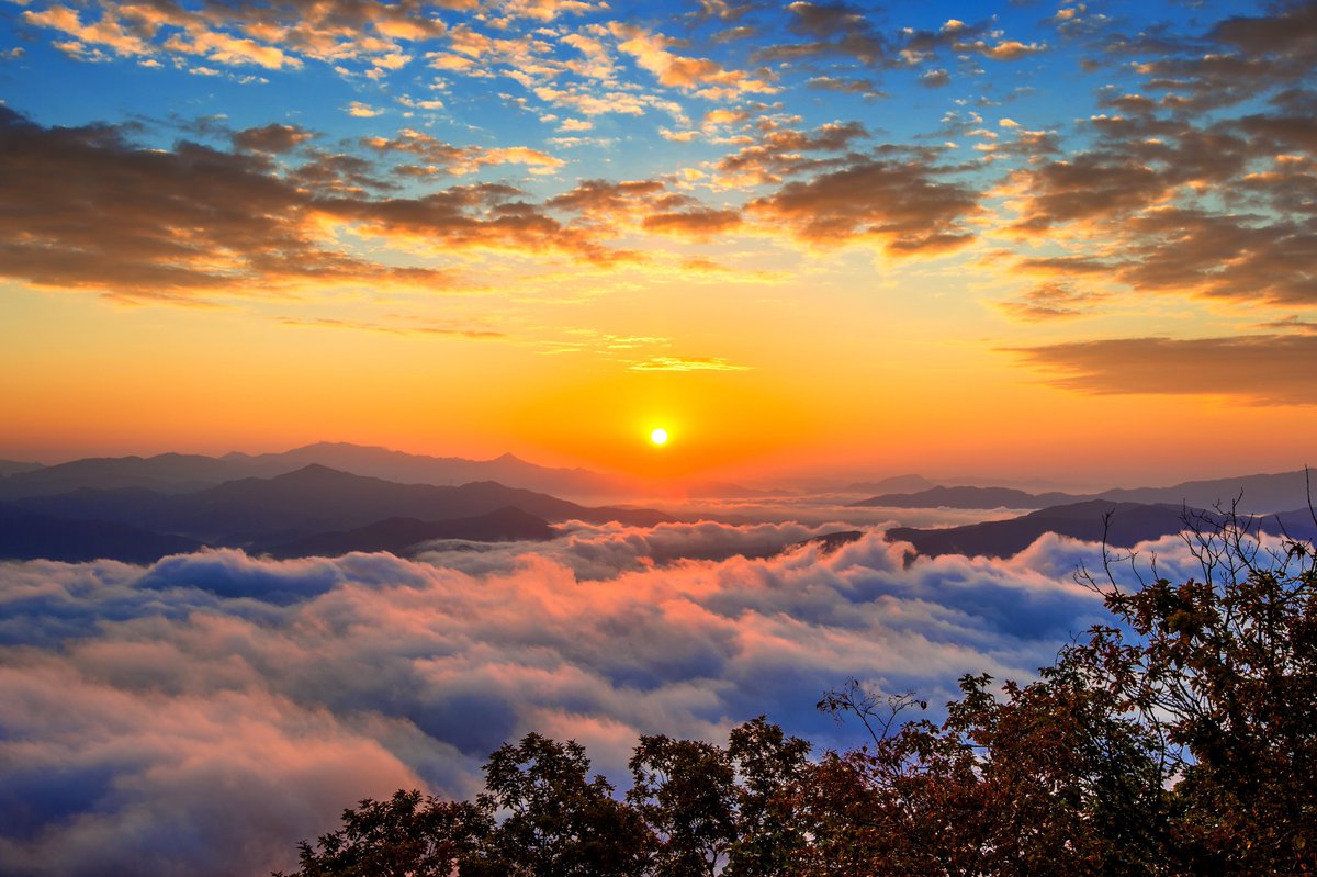 StarEmirates25's tweet photo. "Enjoy the beauty of Munnar mornings—clouds below, sunshine above, and nothing but peace all around. 🌤️✨ #MunnarVibes #MorningGoals"

🌍 Discover the magic of Munnar with us! 🌿
📞 For Bookings &amp; Inquiries: +91 90618 48414
🌍 Website: https://t.co/2U22Yxvwoj https://t.co/N7Muh9zqVQ