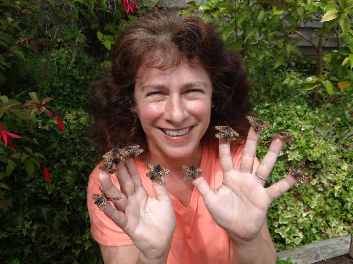 Fundación BBVA (@fundacionbbva) on Twitter photo 🏅 Premio Fronteras del Conocimiento a Camille Parmesan (<a href="/CNRS/">CNRS 🌍</a> <a href="/UTAustin/">UT Austin</a> <a href="/PlymUni/">University of Plymouth</a>) por demostrar el impacto del cambio climático sobre el desplazamiento geográfico de las especies en todo el planeta 🦋🐠🌿
Gran celebración para el #DíaDeLaTierra 🎉
👉 bbva.info/42HMtm7 🏅 Premio Fronteras del Conocimiento a Camille Parmesan (<a href="/CNRS/">CNRS 🌍</a> <a href="/UTAustin/">UT Austin</a> <a href="/PlymUni/">University of Plymouth</a>) por demostrar el impacto del cambio climático sobre el desplazamiento geográfico de las especies en todo el planeta 🦋🐠🌿
Gran celebración para el #DíaDeLaTierra 🎉
👉 bbva.info/42HMtm7