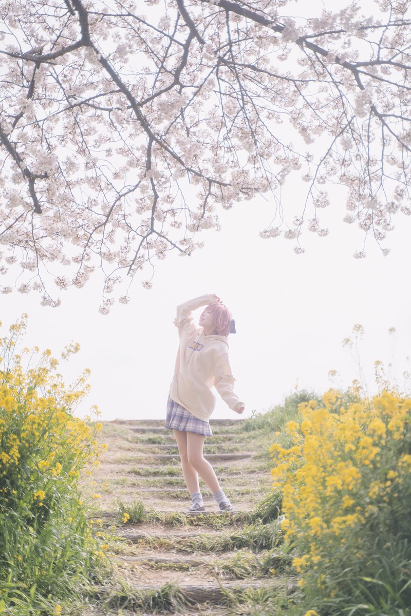 sara.∗̥✩⁺˚ tweet media