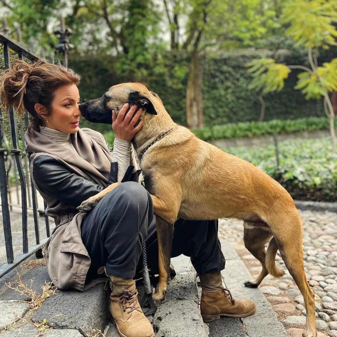 🆕 Silvia: “Good things happen 🐾 all the time 🫶” #instagram #silvianavarro