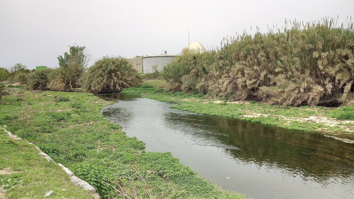 🌎 Projecte adreçat a la ciutadania per protegir el riu Besòs

👉llagosta.cat/actualitat/not…