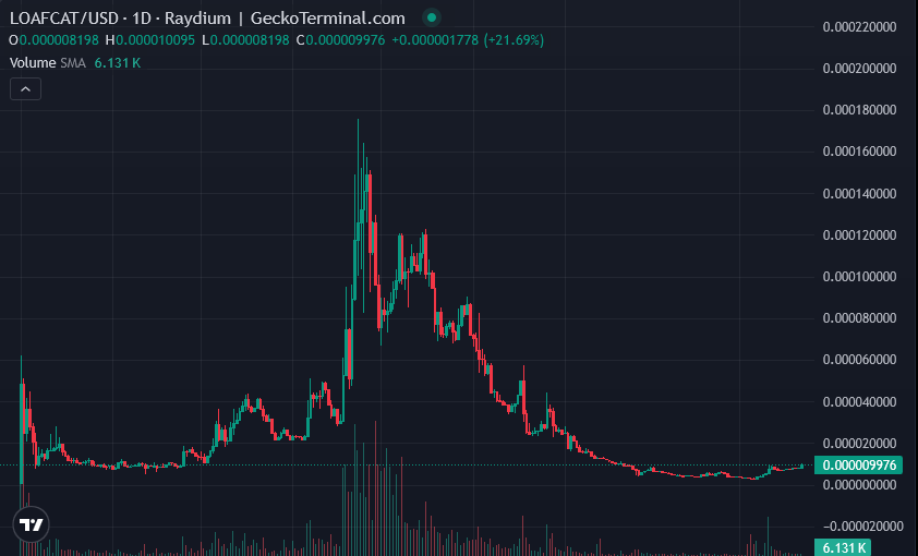 Few d ago I had the peasure to have a talk with some <a href="/LoafCatHQ/">LOAFCAT (CTO)</a> $LOAFCAT team members  on the future plans - it is mindblowing ... As it is their part to go in public with it, I remain silent ... 
I share only the fact, that I've increased my holdings by 6x for now.
- dedicated