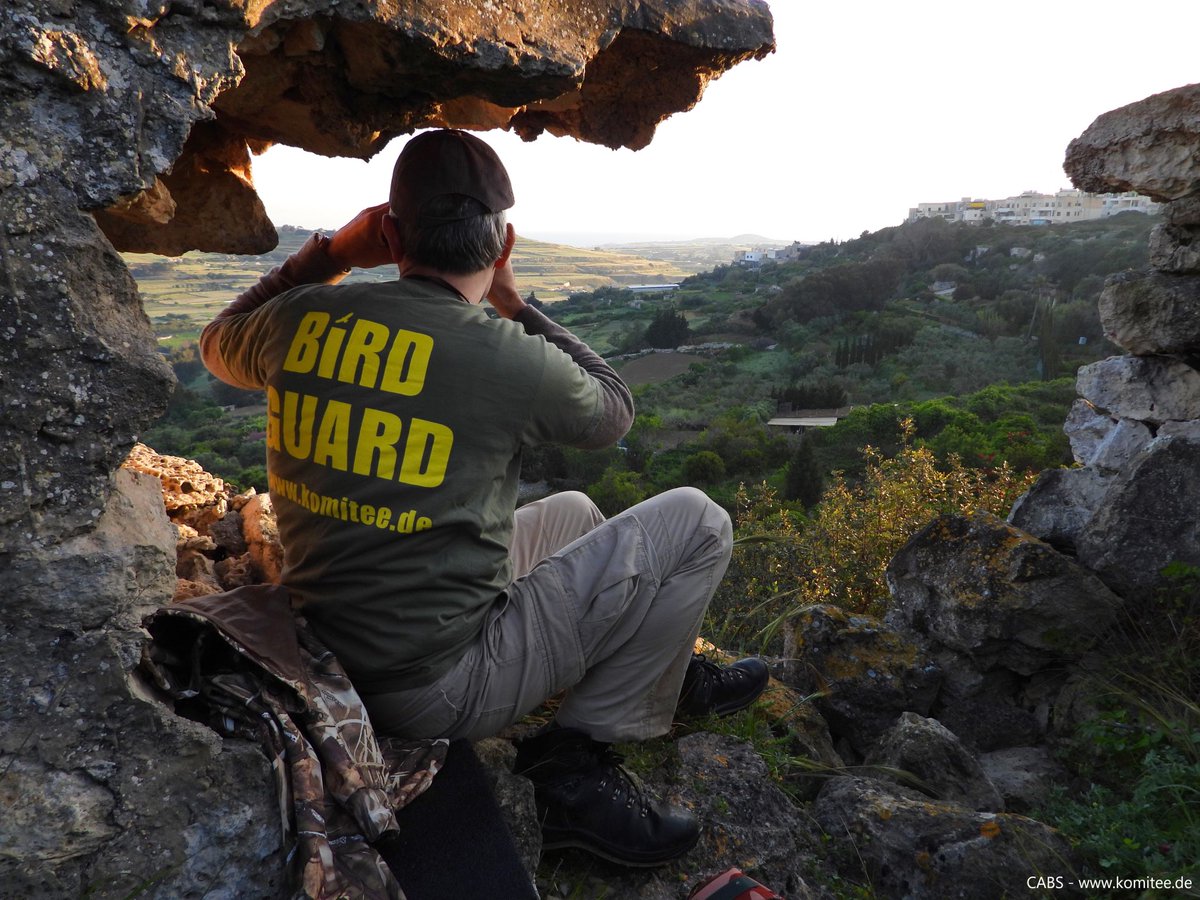 ⚠️1.

9 poachers caught on #Malta &amp; #Gozo

The Committee Against Bird Slaughter (CABS) spring bird protection camp in Malta is now in its 4th week. 

Since the beginning of April, we have caught &amp; reported 6 bird trappers &amp; 3 hunters …