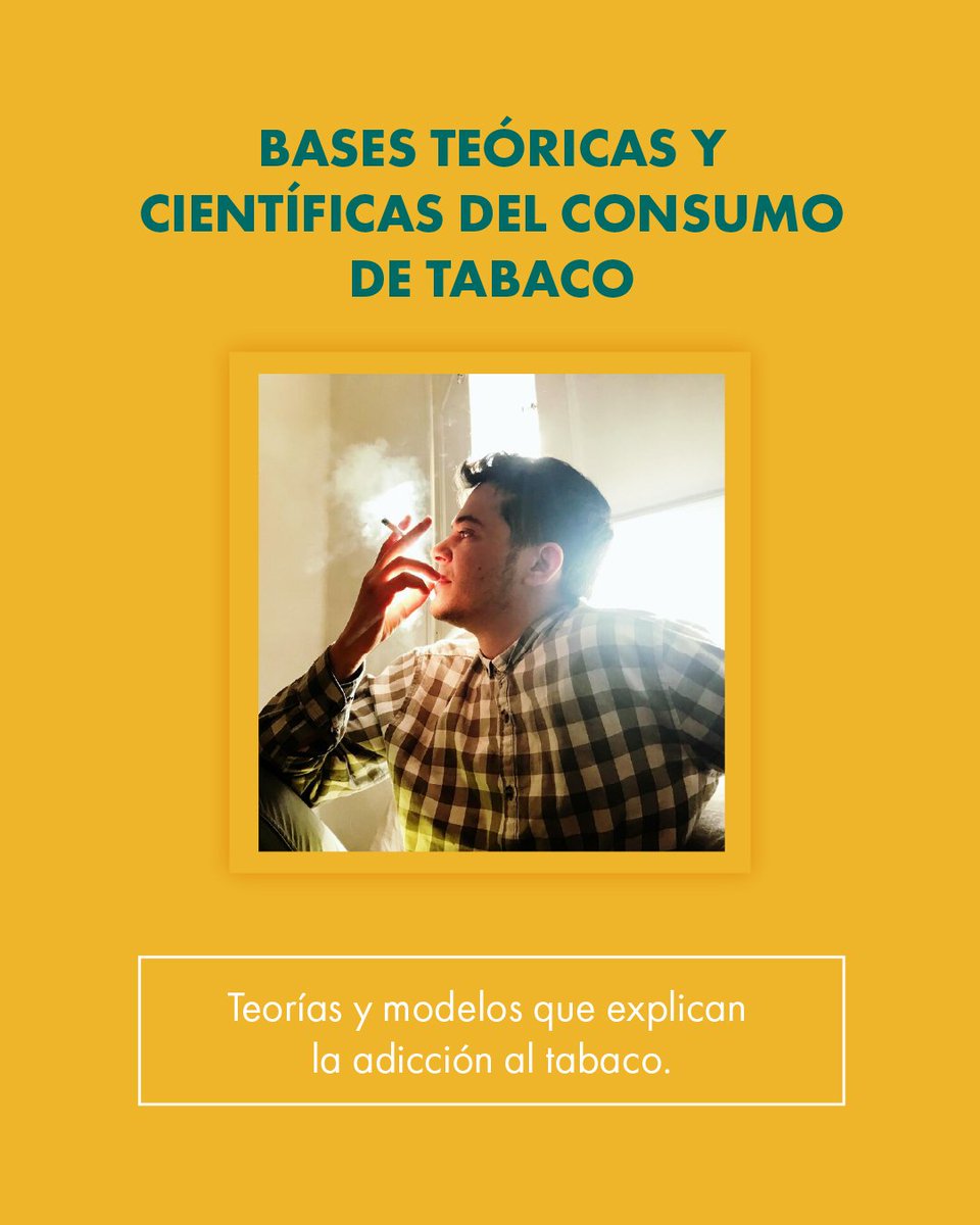 Tutorías en red tweet media