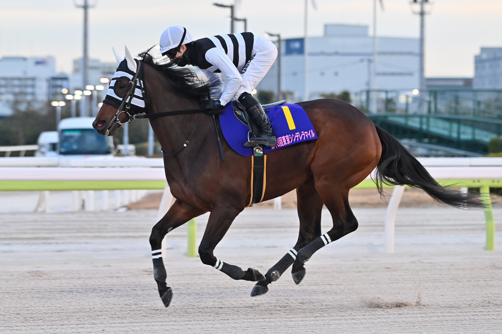 ノリタケ 競走馬跳馬