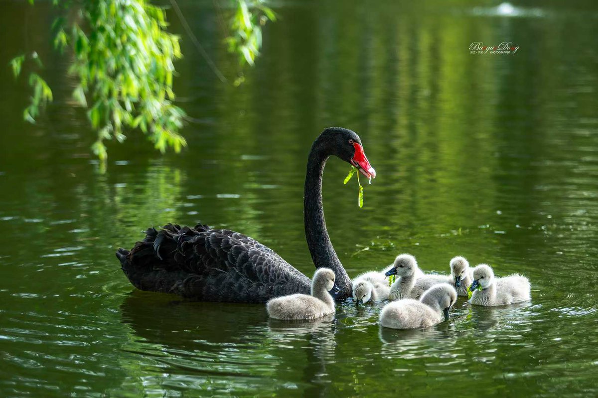 和谐的一家，摄于鄞州公园 #Zhejiang #Ningbo #鄞yin州