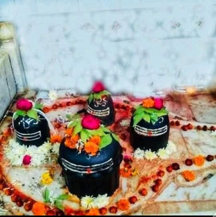 चित्रकूट के घाट में मत्स्यगजेन्द्रनाथ मंदिर में चार शिवलिंग हैं। 
पहला शिवलिंग ब्रह्मा, दूसरा रावण के पिता विश्रवा, तीसरा अत्री ऋषि और चौथा प्रभु श्रीराम ने स्थापित किया था। सतयुग में ब्रह्माजी ने यज्ञ से पहले शिवलिंग स्थापित किए थे। वनवास काल में श्रीराम प्रतिदिन पूजन करते थे।🙏