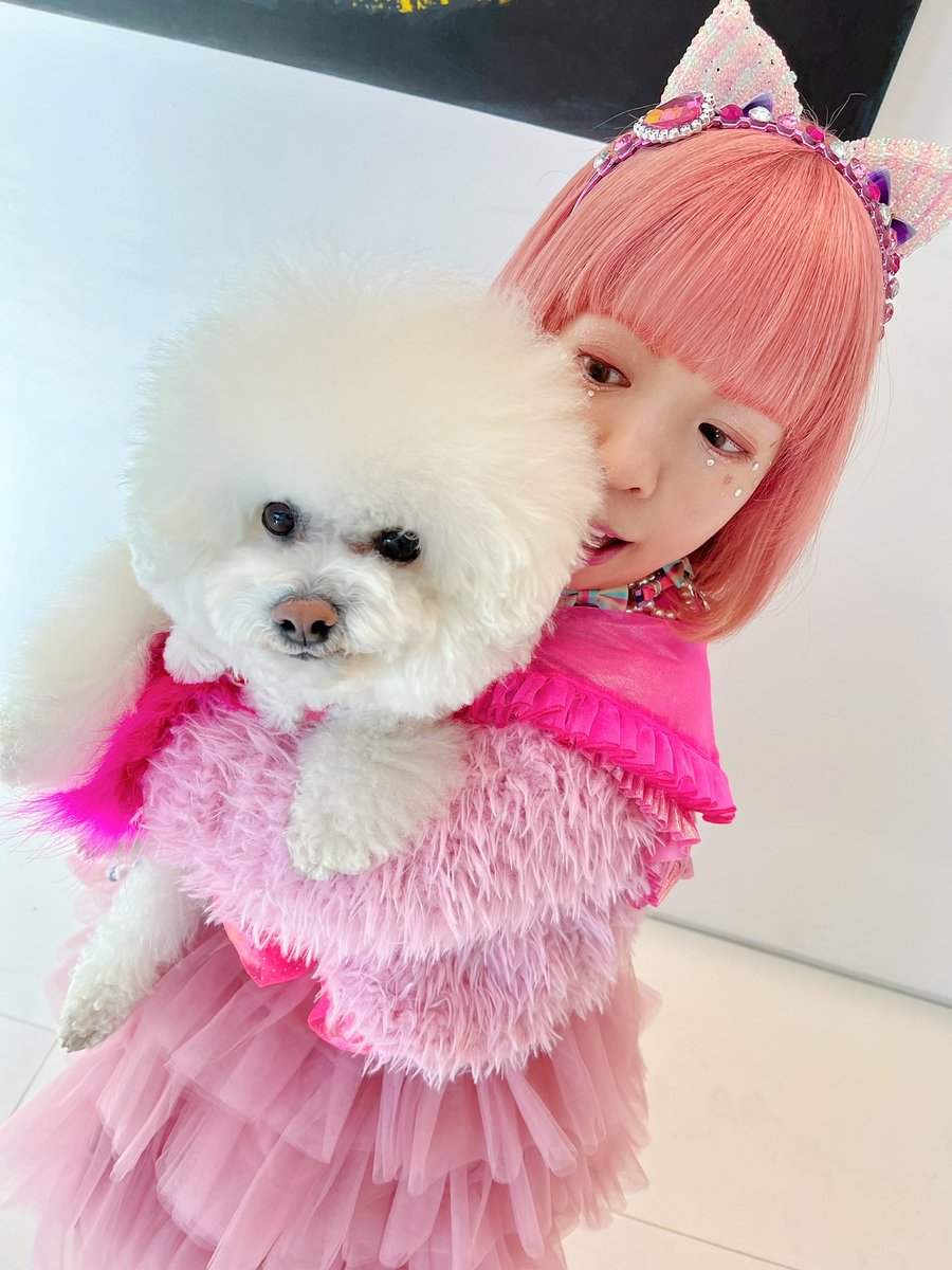 後藤仁美/ちびた (@chibitter115) / Posts / X