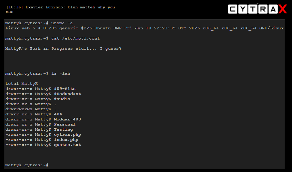 MsNova© tweet media