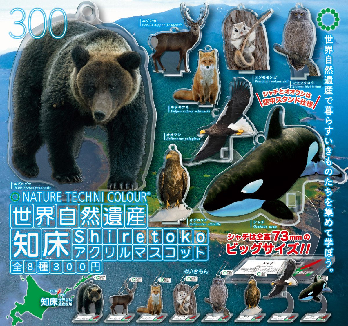 Ken'sChoic NATURE IRIOMOTEYAMANEKO限定240本 📢新商品のご紹介 / ネイチャーテクニカラーの世界自然遺産アクリル