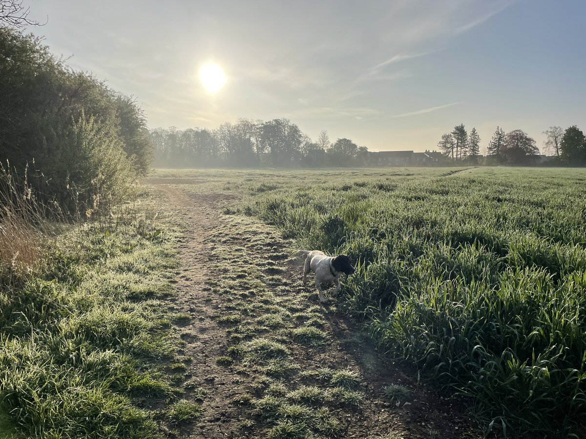 A bright term ahead for all <a href="/PockSchool/">Pocklington School</a> - full of the chance to explore, discover and succeed! Good luck all and see everyone tomorrow!
