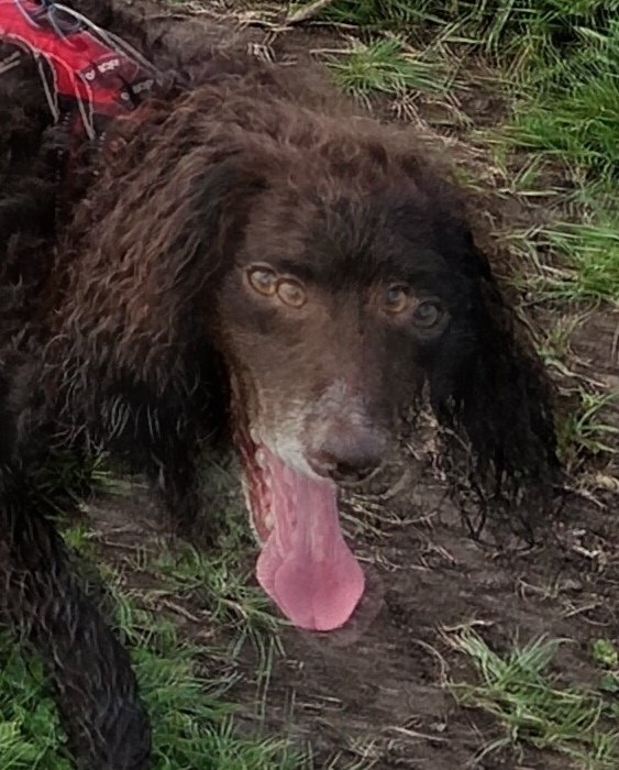 It's four eyes and tongue out Tuesday for Bert today