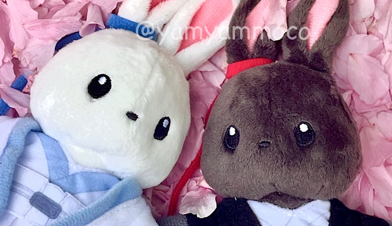 yamyammoco's tweet image. 桜吹雪と桜の絨毯がとても綺麗だった🌸🐰