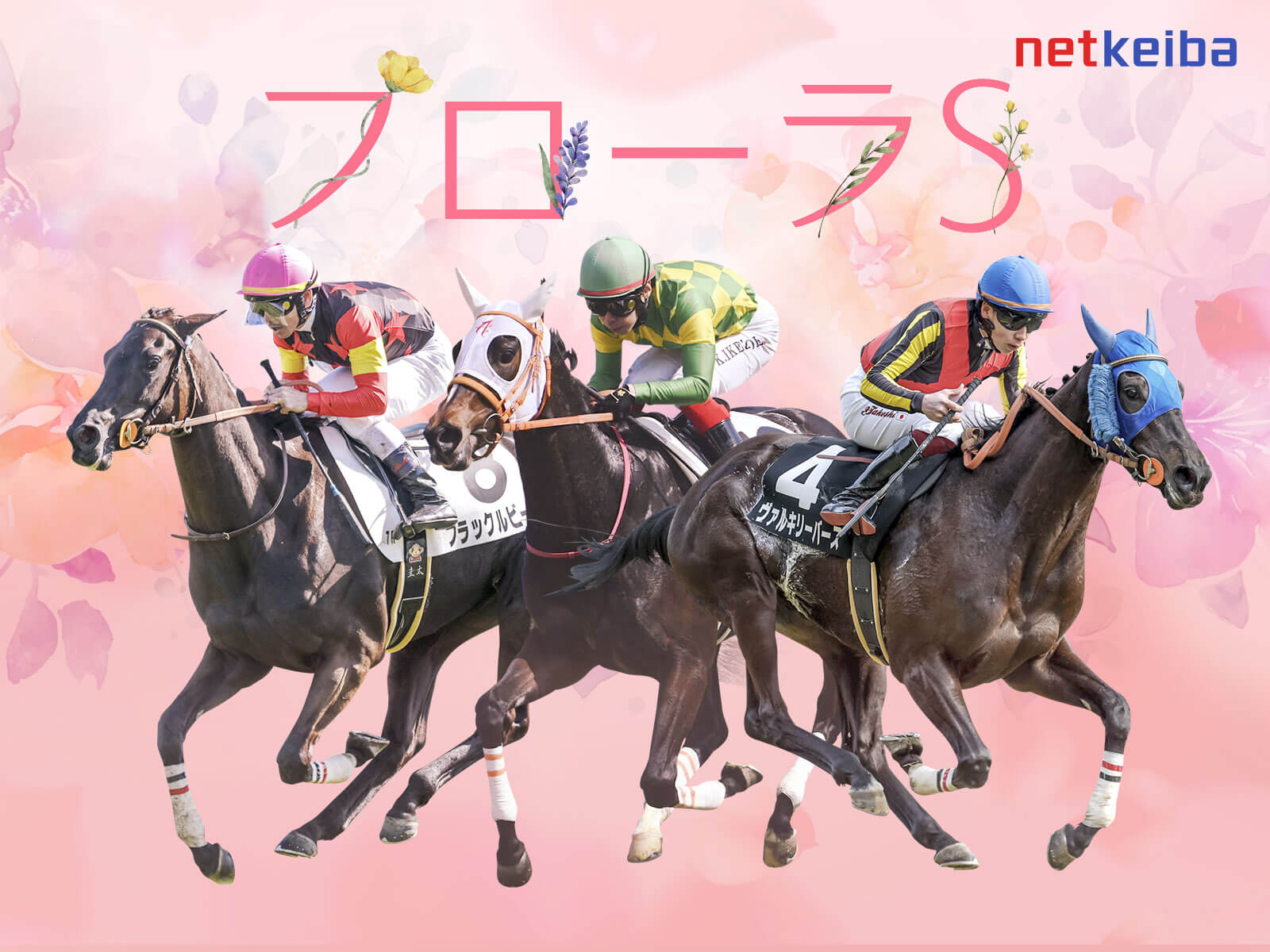 Club JRA Net キャンペーン B賞 アーモンドアイブランケット