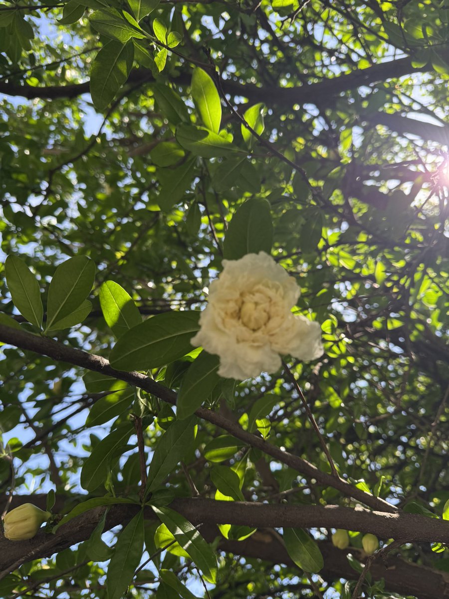 Sal Paradise (@salparadiseon) on Twitter photo 