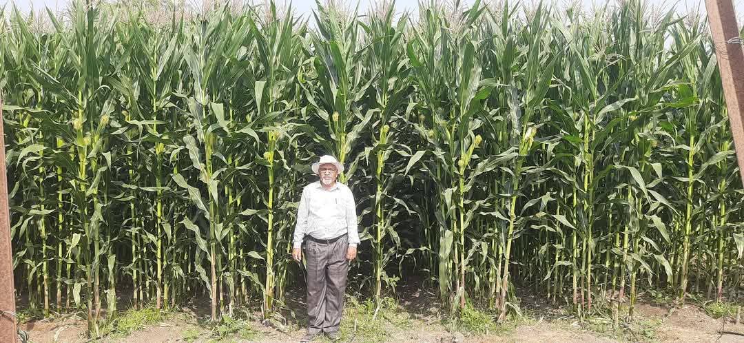 Best Wishes on "World Earth Day !"
Our Power - Our Planet.
Get More in Less Water, Fertilizers, Electricity, Labour with Drip Irrigation.
Jain Irrigation is working in #Soil, #Water n #Power conservation.
- Dr.BD Jade. Sr.Scientist 
#AjitJisl #FAO #FALI
#DrSundr