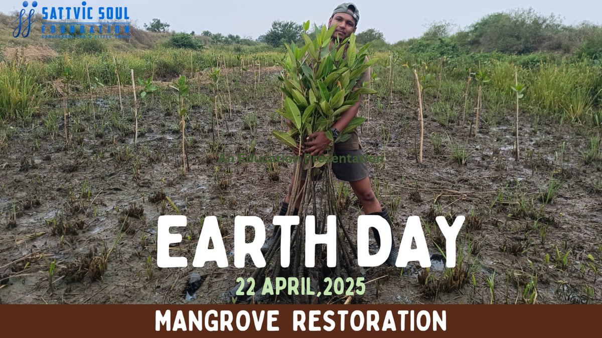I_m_abhishek135's tweet image. This #EarthDay, let&apos;s give a shoutout to the mangroves—nature’s coastal guardians. They fight climate change, protect shorelines, and shelter biodiversity. Let’s protect what protects us. #MangrovesMatter #ClimateAction