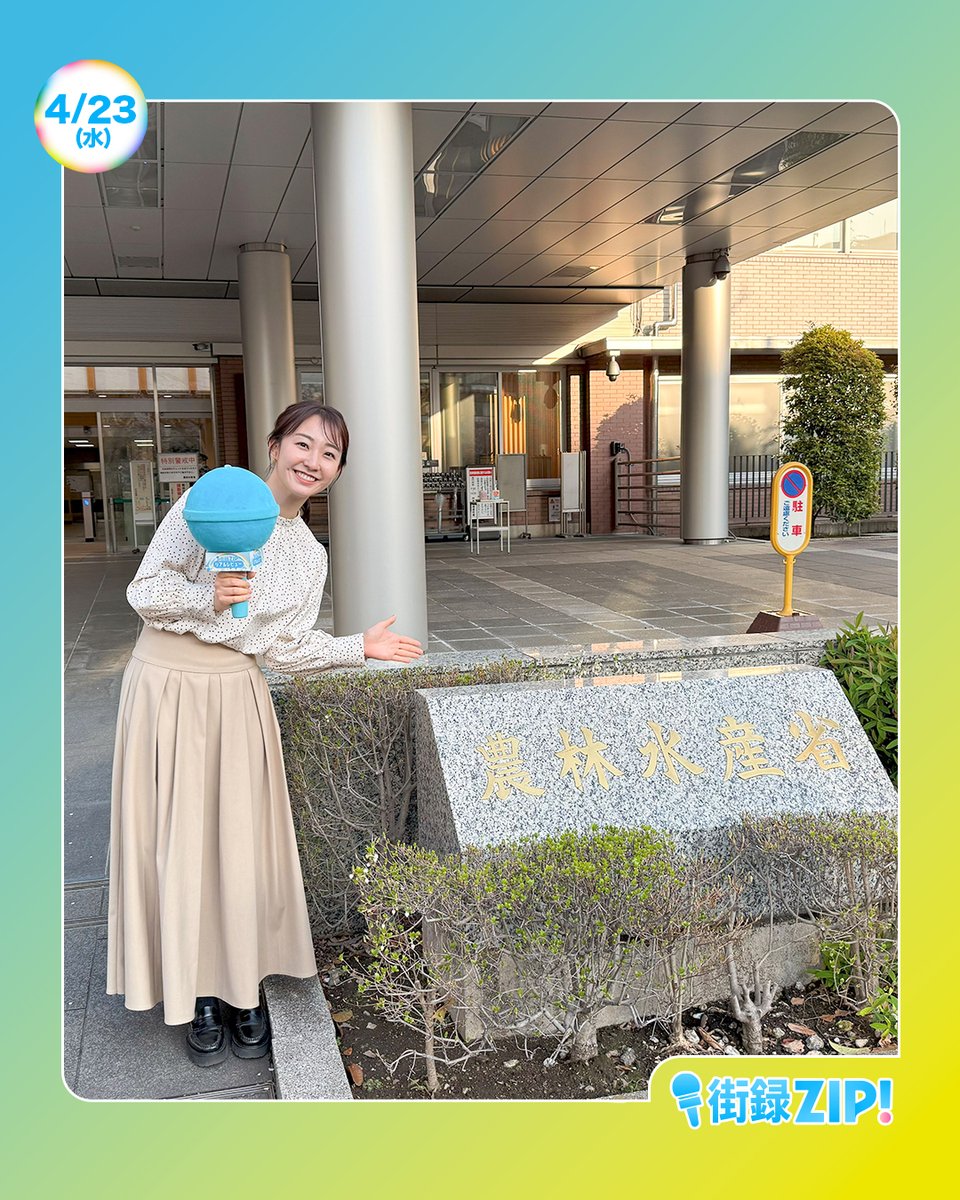 ☀️#あしたのZIP! 4/23(水)☁️ ⏰あさ7時20分ごろは #ZIP特集 色々な