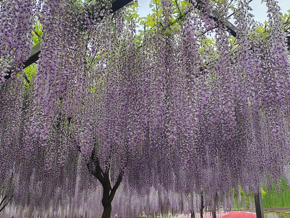 最近没有sj
有在好好生活
喜欢明媚的太阳和同行的小太阳