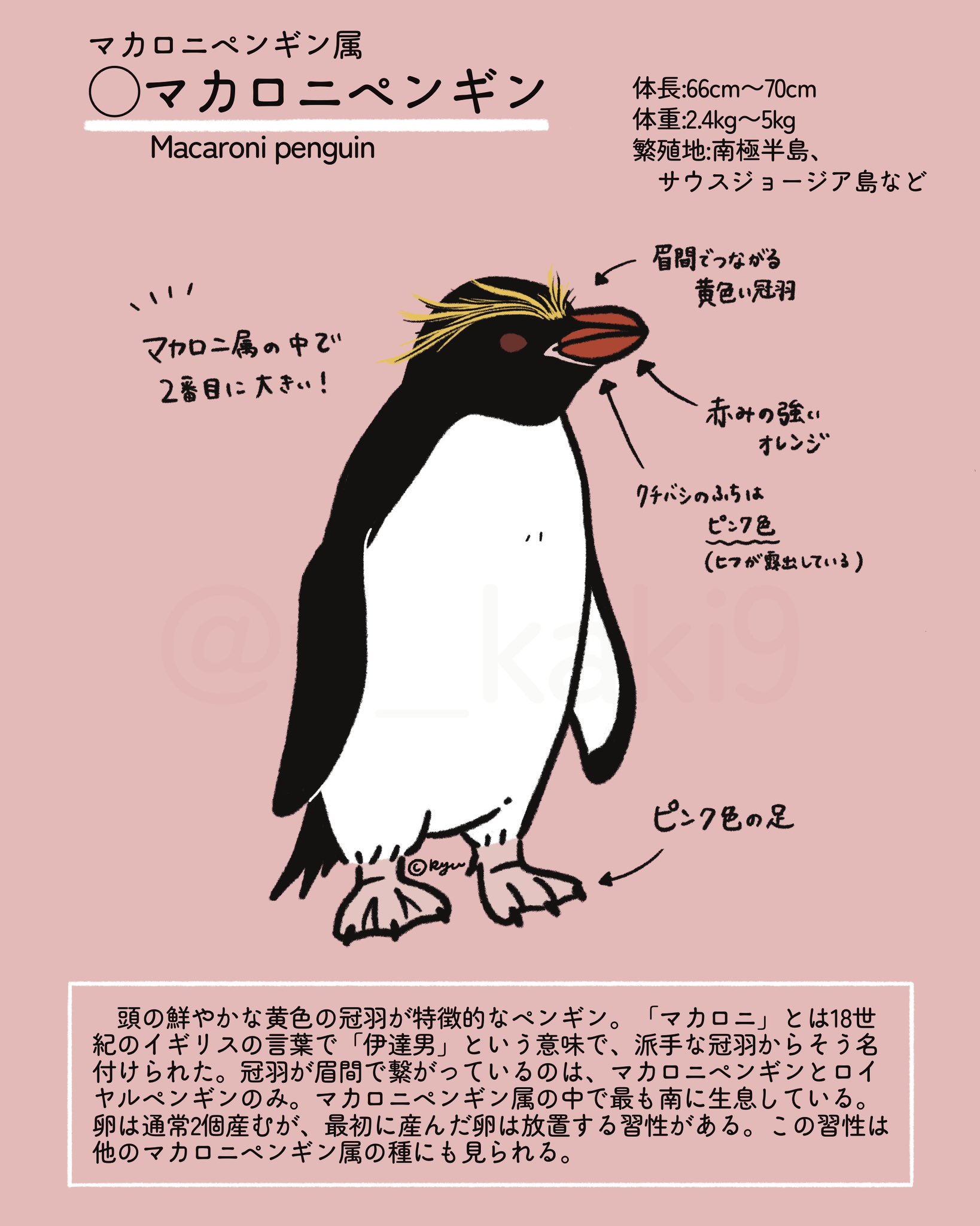 きゅう🐧イラストレーター (@p_kaki9) / X きゅう🐧イラストレーター (@p_kaki9) / X